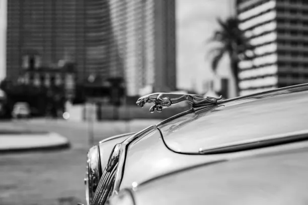 Kasino Prize Land Bingo Apl Android/iOS